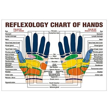 10pcs/Set Nerūsējošā Tērauda Pirkstu Masāža Gredzenu Akupunktūras Gredzenu Terapijas Atpūsties Roku Asinsriti Sāpju mazināšanai Veselības Aprūpes