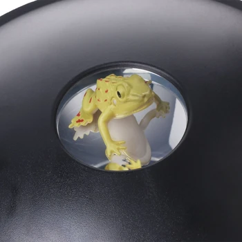 3D Mirascope Rotaļlietas Hologrammu Optiskā Attēla Zinātnes Izglītības Burvju Rotaļlieta Bērniem Dāvanu Q6PD