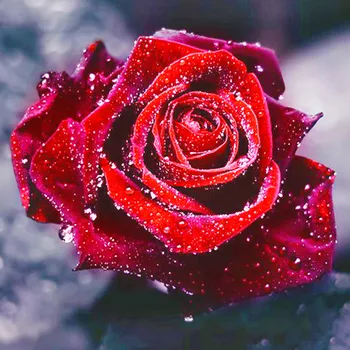 5D Dimanta Krāsošana rožu dimantu Mozaīkas Sveķu Mājas Dekoru, Dimanta Izšuvumi Cross Stitch Modelis DIY dimanta mākslas 20*20cm