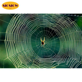 5d Diy Dimanta Krāsošana Zirnekļa tīklā Pilnu Kvadrātveida Urbt 3D Dimanta Mozaīkas Izšuvumi Dzīvnieku Cross Stitch Komplekti Mājas Dekoru Istabā-Dāvanas