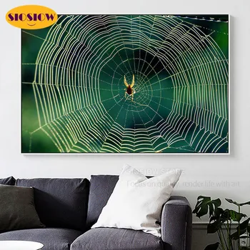 5d Diy Dimanta Krāsošana Zirnekļa tīklā Pilnu Kvadrātveida Urbt 3D Dimanta Mozaīkas Izšuvumi Dzīvnieku Cross Stitch Komplekti Mājas Dekoru Istabā-Dāvanas