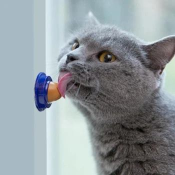 Catnip Cukurs Cietā Catnip Cukura Ilgi Spēcīgu Pill Enerģijas Bumbu Kaķu Uztura Krējuma Laiza Cieto Konfektes Kaķi Izlases Krāsu Bāzes