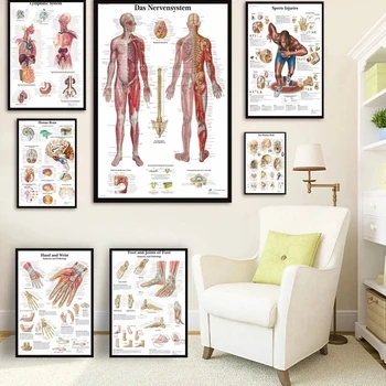 Cilvēka Anatomija Muskuļu Sistēma Mākslas Audekla Apgleznošana, Body Art Attēlu un Plakātu Apdare, Ģimenes Medicīnas Izglītību, Bezrāmju