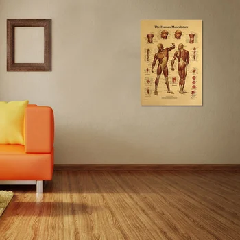 Cilvēka Ķermeņa Attēlojums-Muskuļu Audu Kraftpapīrs Retro Plakāta Klasē Muzejs Apdare, Krāsošanas Ķermeņa Diagramma Interpretācija