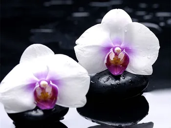 Dimanta Krāsošana Komplekti Pilnā garumā Ar AB Urbt Ziedi 5D DIY Izšuvumi Orhideju Mozaīkas Rhinestone Amatu Mājas Dekoru Mākslas Dāvana