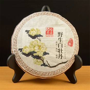 Ir 2021. Jauno Ķīnas Keramikas Tējas Podi