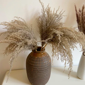 Kaltēti ziedi Pampu zāle mājas dekoru pampasgrass diy amatniecības virtuves decroation amatniecība dārza mājas aksesuāri, kāzu lieldienas