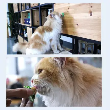 Kaķis Cukura Bumbu Kaķis Uzkodas, Konfektes Licking Cietā Uztura Kaķis Traktēti Enerģijas Bumbu Rotaļlieta Ar Dabas Catnip Un Sūcējs Pet Piegādēm