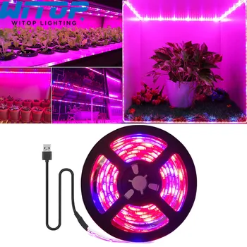 LED Augt Gaismas Lentes Pilna Spektra Fito Lampa USB 5V 1M 2M 3M 4M 5M 5050 SMD Augi, Ziedi LED Siltumnīcefekta Cultivo Hidroponiskas