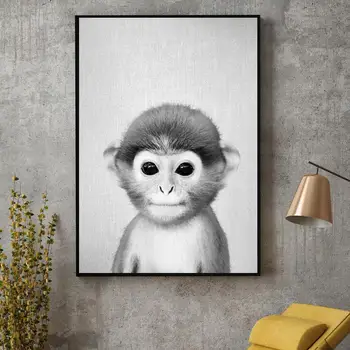 Melnā un Baltā Baby Monkey Audekla Apgleznošana Sienu Mākslas Izdrukāt Plakātu Mūsdienu Mājas Dekoru Attēlu Guļamistaba, Dzīvojamā Istaba Apdare