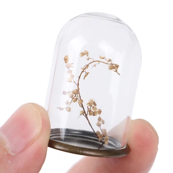 Miniatūras Stikla Displejs Vāks Ar Mežģīnēm Apakšā Atbalsta DIY Rotaslietas, Aksesuāri