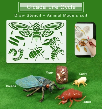 Montessori Izglītības Rotaļlietas, Zīmēšanas Veidni Dzīvnieku Dzīves Ciklā,Simulācijas Bišu,Tauriņš Modeļus, Mācību Materiāli Bērniem