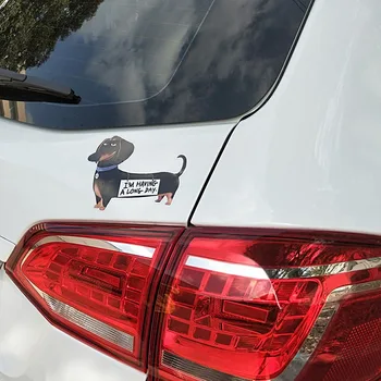 Noslēpums Llife No Pet Suns, uzlīmes uz auto, automašīnu logu bufera klēpjdatoru PVC Augstas Kvalitātes Auto Uzlīme Apdares 15*11CM