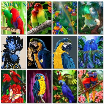 PhotoCustom Eļļas Glezna, Ko Numuri Krāsains Papagailis 60x75cm Krāsas Zīmēšanai Pēc Numuriem Uz Audekla Dzīvniekiem, Bezrāmju Mājas Dekoru