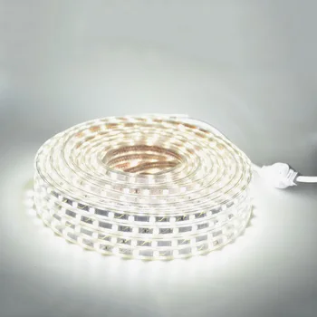 RGB LED Strip Gaismas komplekts ar Tālvadības pults Aptumšojami LED Lentes Ūdensizturīgs AC220V SMD 5050 LED Lentas Elastīgas Sloksnes Mājas