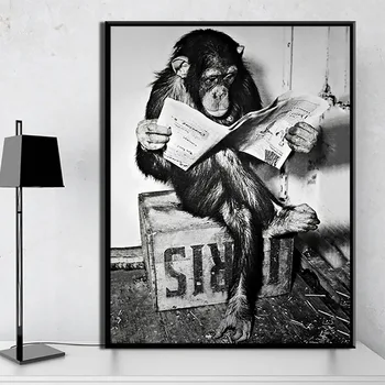 Smieklīgi Monkey Business Plakātu un Drukāt Uz Sienas, Lasot Laikrakstu Glezna Attēlus, Mākslas darbu, Sienas Dekori Dzīvojamā Istaba