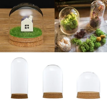 Stikla Cloche Dome Bell Jar Displejs Stāvēt Dome Segtu Terārija Pudele ar Koka Pamatni, 3 Izmēri