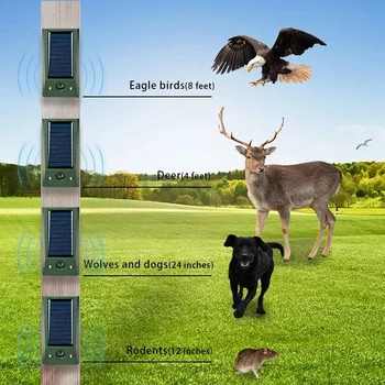 Ultraskaņas Dzīvnieku Āra Kaitēkļu Putnu Atbaidīšanas ar Kustību Strobe un Ielaušanās Signalizācija
