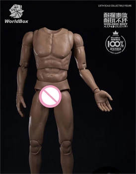 WorldBox Sērijas Vīrietis Reāli Attēls Ķermeņa Modeļa AT011 AT012 AT020 AT027 AT025 Izturīgs Muskuļu Ķermeņa skaitlis 1/6 Vadītājs