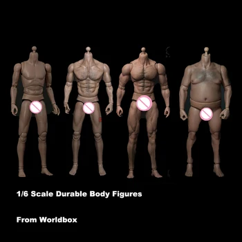 WorldBox Sērijas Vīrietis Reāli Attēls Ķermeņa Modeļa AT011 AT012 AT020 AT027 AT025 Izturīgs Muskuļu Ķermeņa skaitlis 1/6 Vadītājs